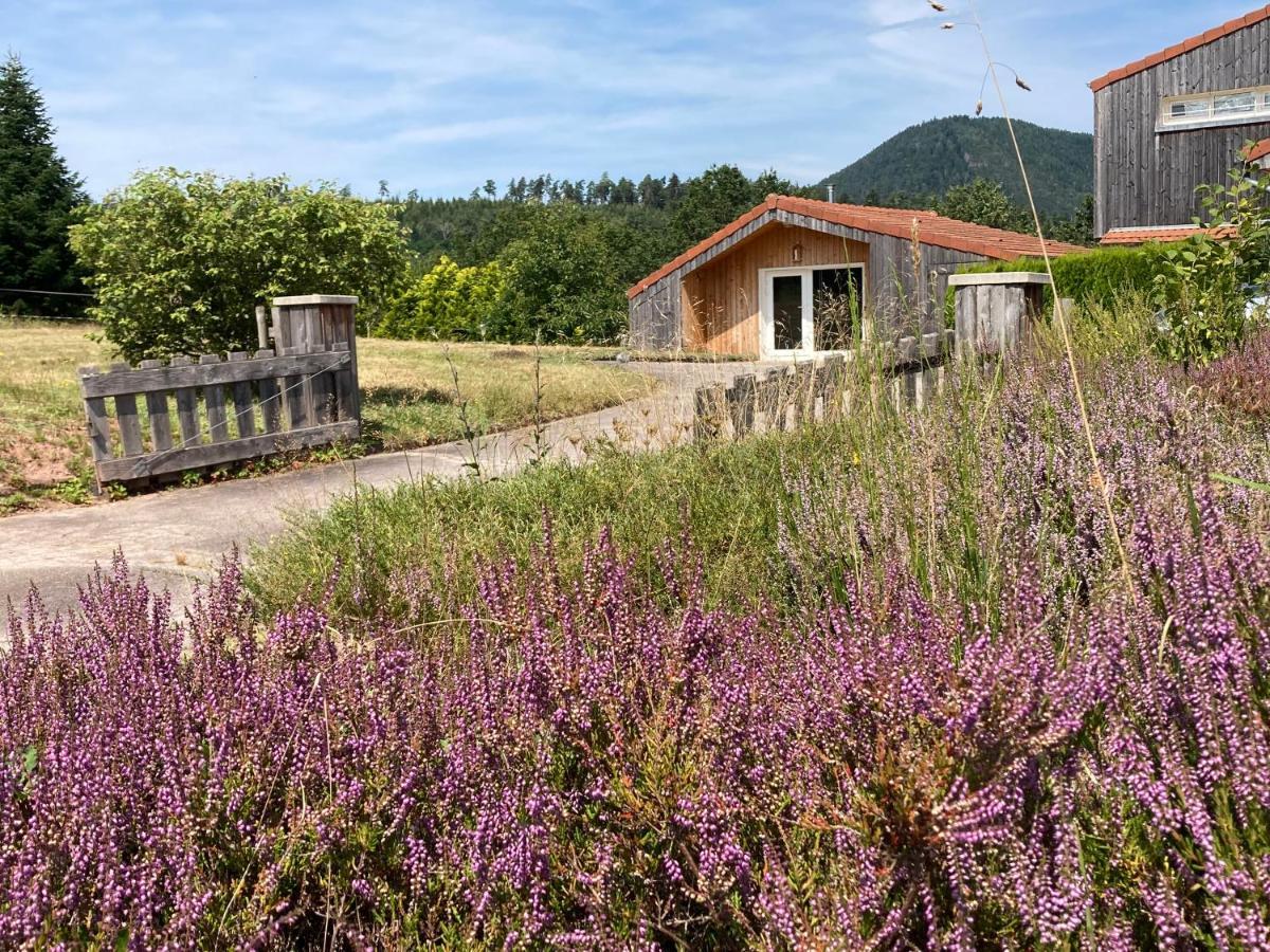 Le Chalet Dans La Nature Saulcy-sur-Meurthe Екстер'єр фото